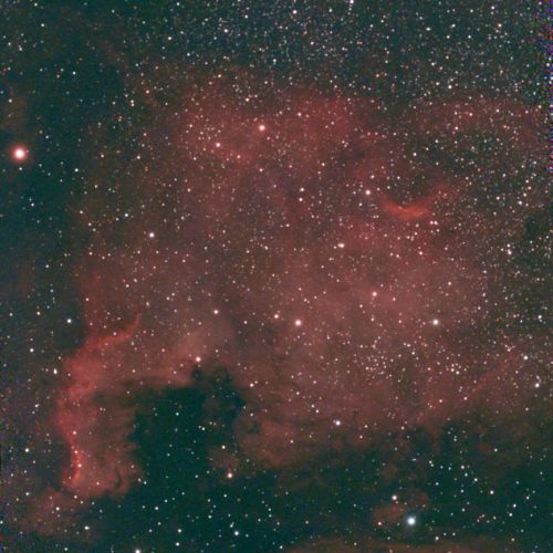 NGC 7000