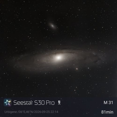M31